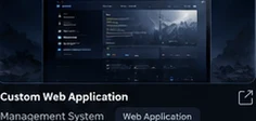 Custom web application concept
